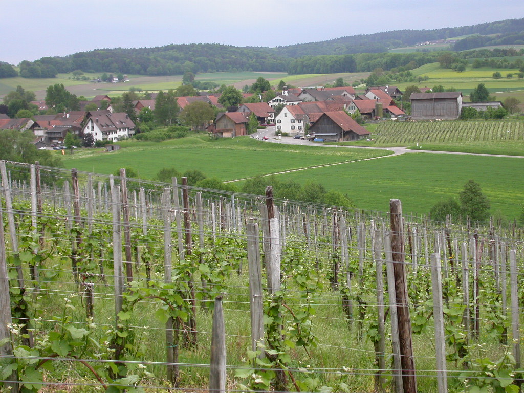 2690_024.jpg