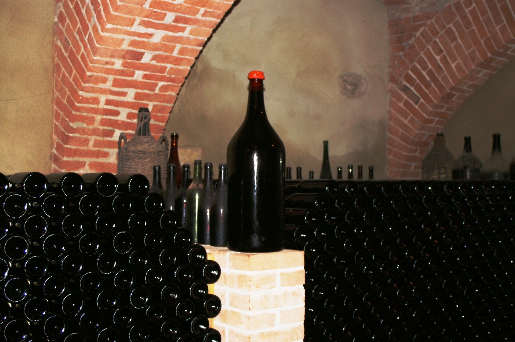 145.jpg