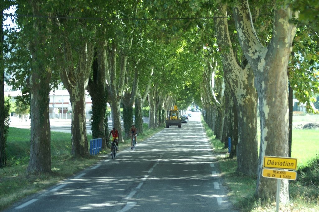 139.jpg