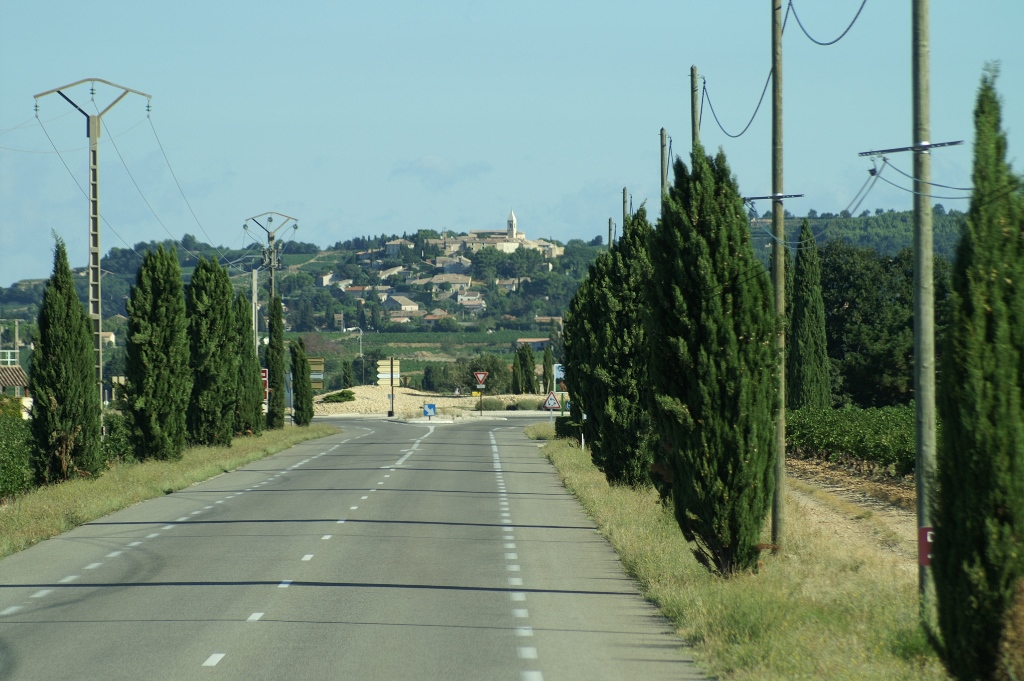 169.jpg