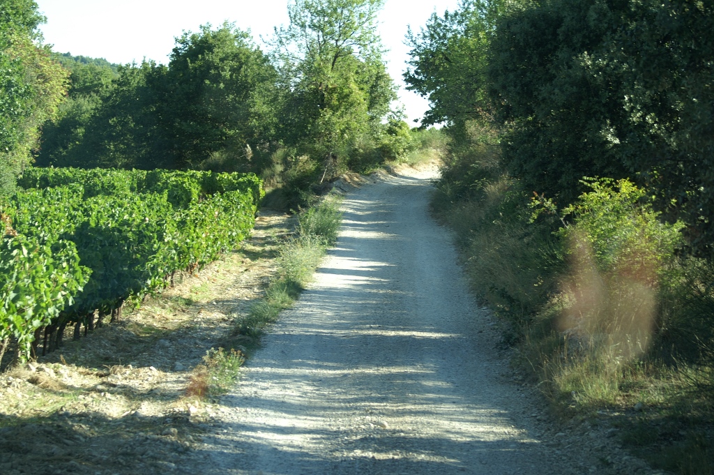 170.jpg