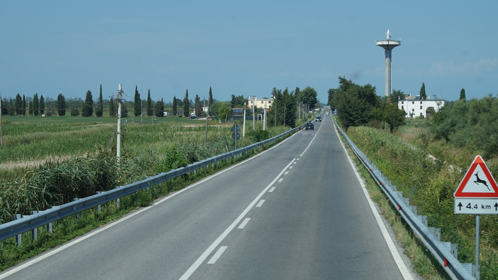 125.jpg