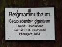 Dateiname=023.jpg
Dateigröße=266KB
Abmessungen: 1005x768
hinzugefügt am: 01. Dezember 2017 023.jpg