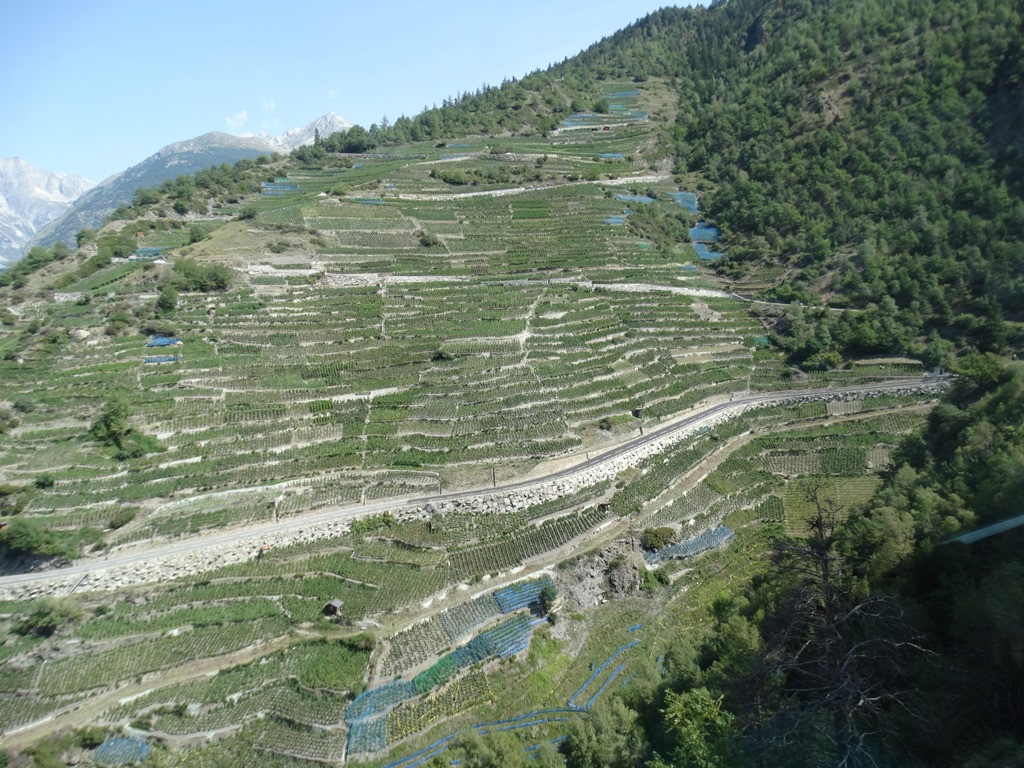 252.jpg